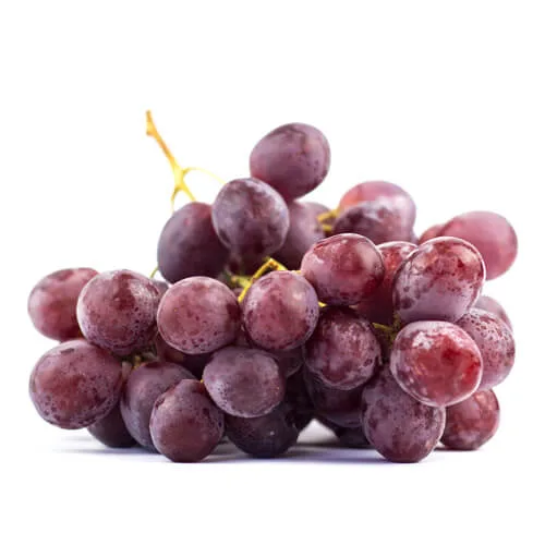 Виноград Кардинал 