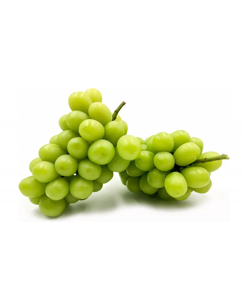 Виноград Мускат