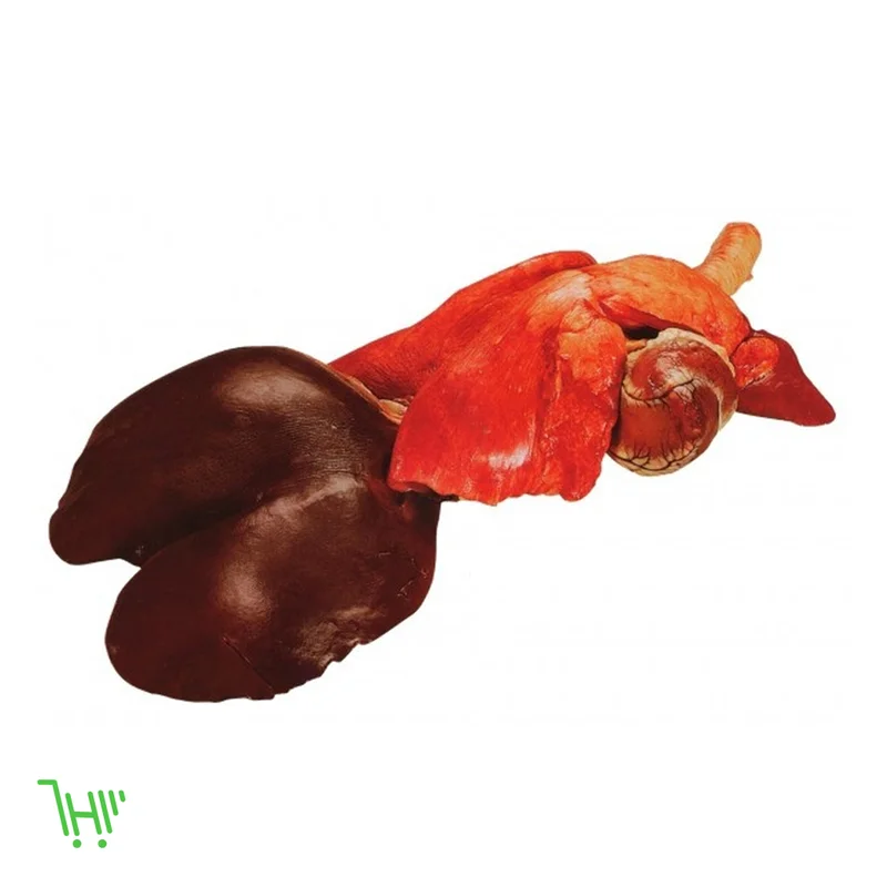 Ливер Баранина комплект HALAL