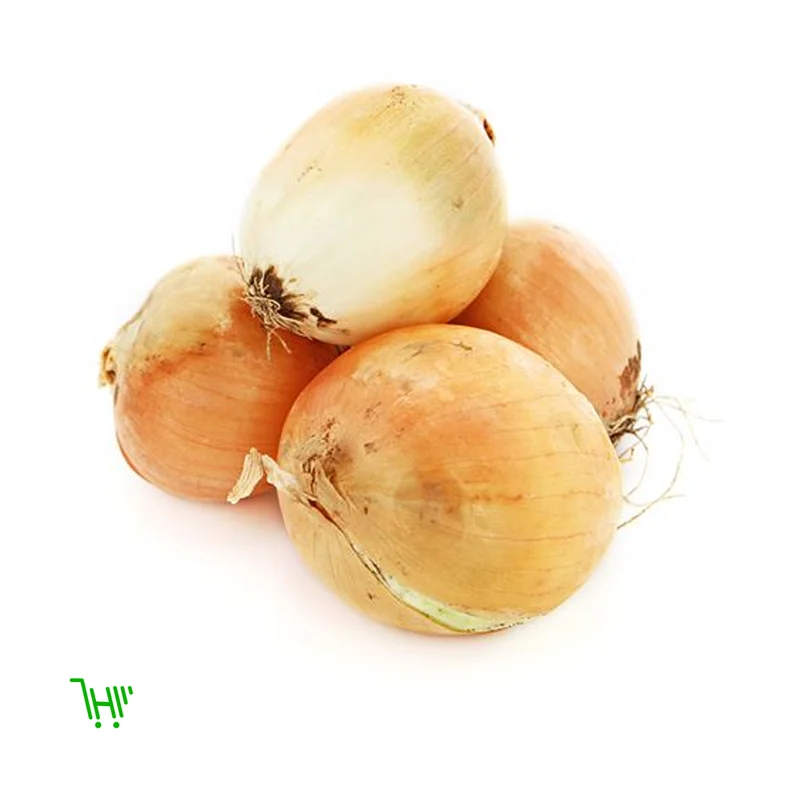 Лук репчатый ранний