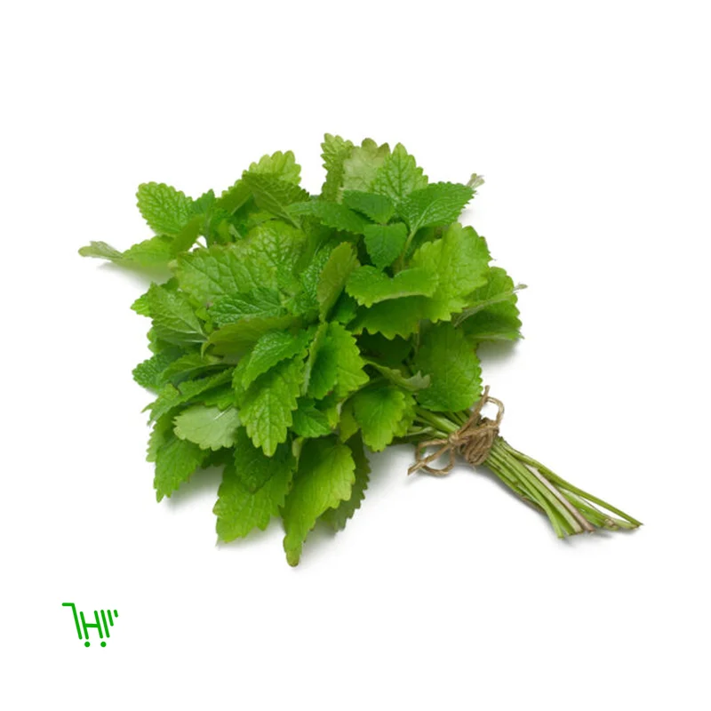 МЯТА СВЕЖАЯ