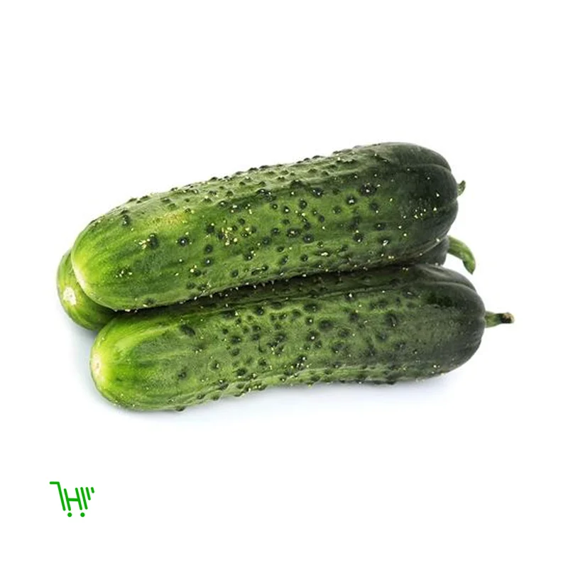 Огурец миринда