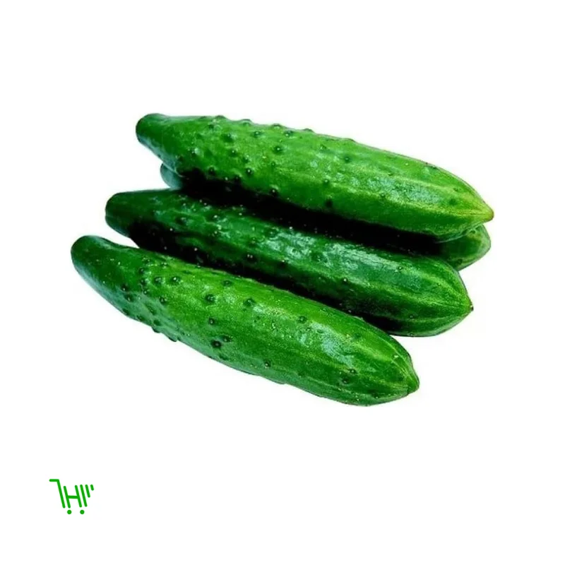 Огурцы Белая дача