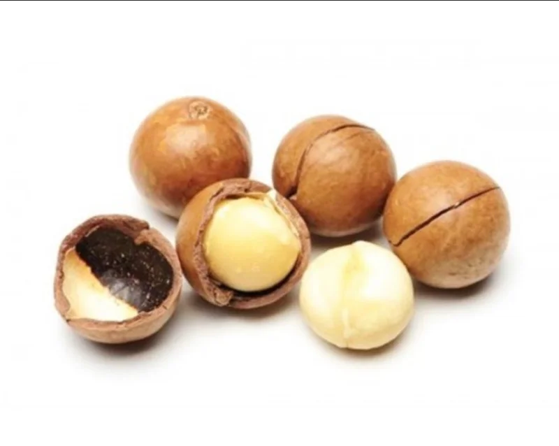 Орех Макадамия