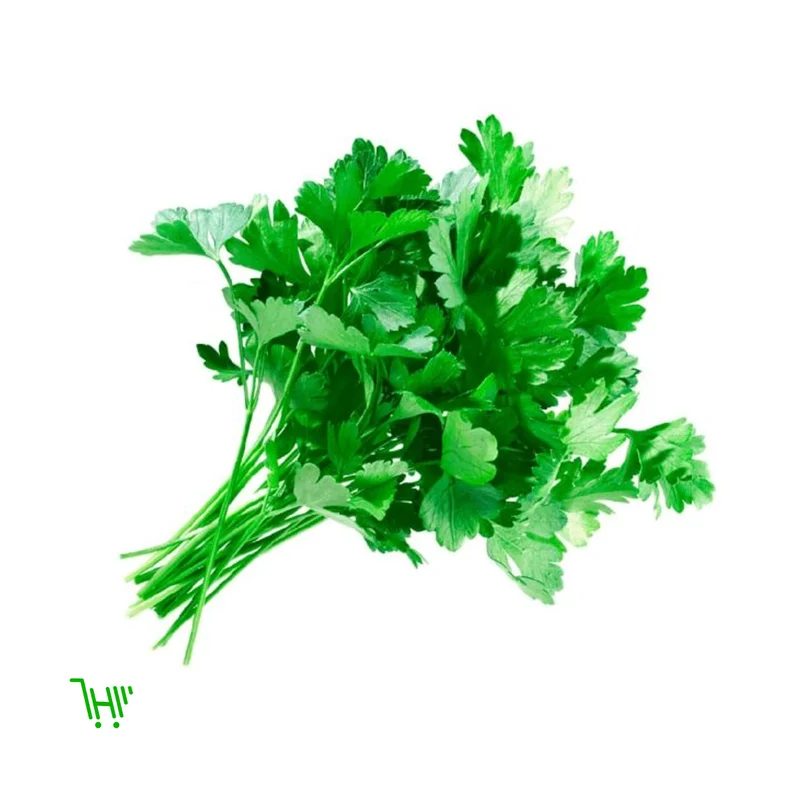 Петрушка свежая