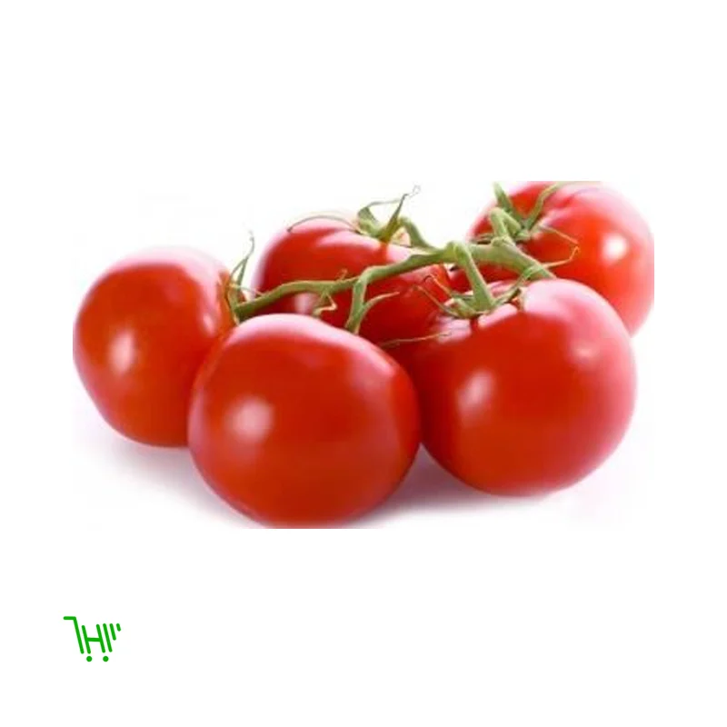 Помидор Томаты на ветке