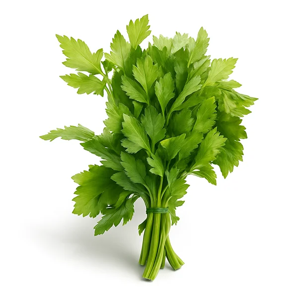 Сельдерей, листья 0,100гр