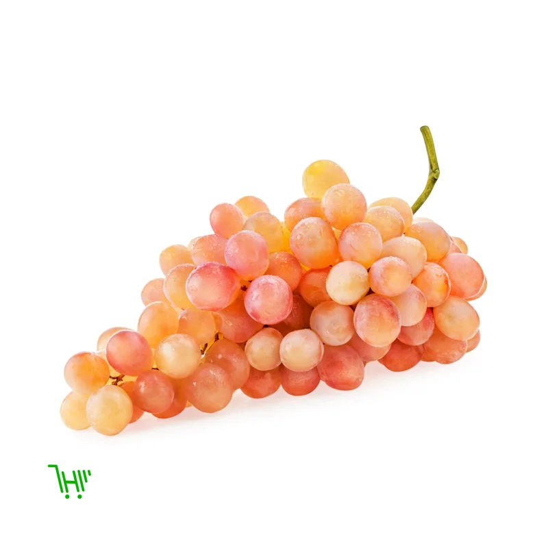 Виноград Тайфи